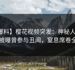 【爆料】樱花视频突发：神秘人在昨晚被曝曾参与丑闻，窒息席卷全网