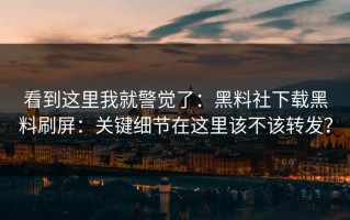 看到这里我就警觉了：黑料社下载黑料刷屏：关键细节在这里该不该转发？