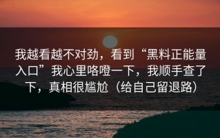 我越看越不对劲，看到“黑料正能量入口”我心里咯噔一下，我顺手查了下，真相很尴尬（给自己留退路）
