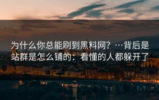为什么你总能刷到黑料网？…背后是站群是怎么铺的：看懂的人都躲开了