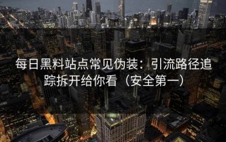 每日黑料站点常见伪装：引流路径追踪拆开给你看（安全第一）