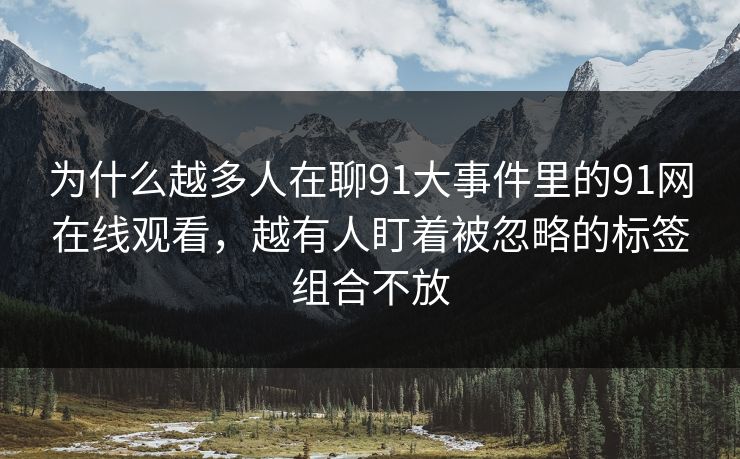 为什么越多人在聊91大事件里的91网在线观看，越有人盯着被忽略的标签组合不放-第1张图片-杏吧夜间直播热门站